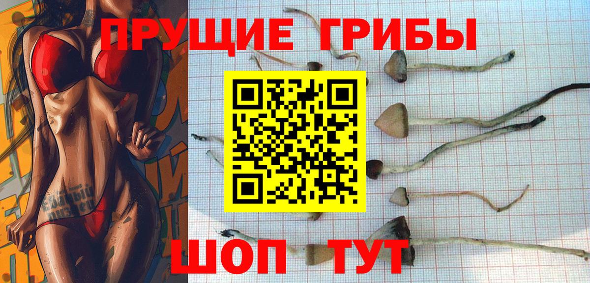 Галлюциногенные грибы мицелий Сосновоборск